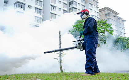 Fumigation Services