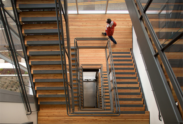 Stairways and Elevator Cleaning