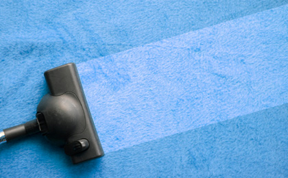 Carpets Shampooing